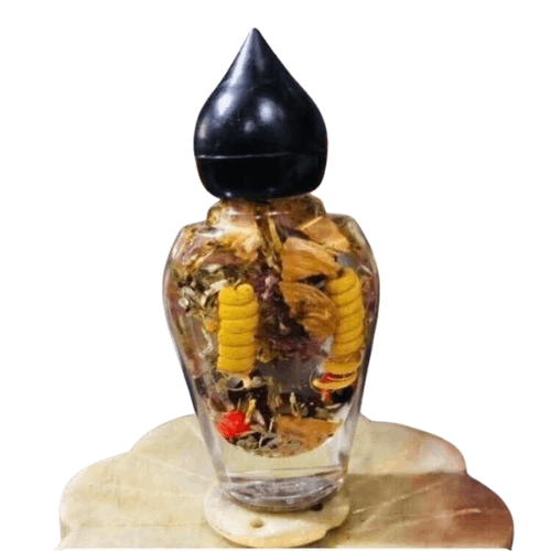 Pusanga para el Negocio